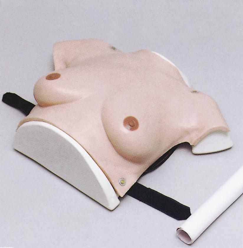 乳房檢查模型哪個(gè)廠(chǎng)家有
